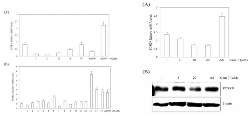 15종의 상심자 유래 화합물에 대한 PCSK9 mRNA 발현량 검색 실험 (왼쪽 A, B) (HepG2 세포주 사용) 및 화합물 7에 대한 농도별 PCSK9 mRNA와 protein 발현량 검색 실험 (오른쪽 A, B)