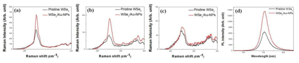 (a) 단일층, (b) 이중층, (c) 다층에서의 WSe2와 WSe2/Au-NPs Raman 스펙트럼 비교. (d) 단일층 WSe2와 WSe2/Au-NPs 에서의 PL 스펙트럼 비교