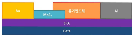 본 연구에서 제작하는 MoS2와 유기반도체 하이브리드를 이용한 전계 효과 트랜지스터와 태양전지 소자 개념도