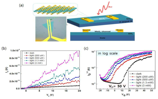 (a) CVD 방법으로 제작된 n형 단일층 MoS2를 활성층으로 사용한 TFT 모식도 및 실제 광학 이미지. 입사되는 빛의 세기에 따른 단일층 MoS2 TFT의 (b) 전압-전류 output 특성 곡선과 (c) transfer 특성 곡선