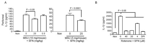 MSU 매개 복막염모델과 미토콘드리아 ROS 생성에서 SFN의 역할 연구