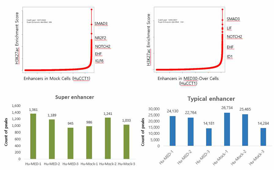 MED30에 의해 조절되는 Super Enhancer 발굴