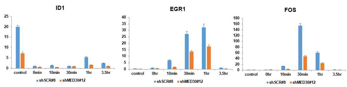 MED30에 의한 Serum Response Gene 발현 조절