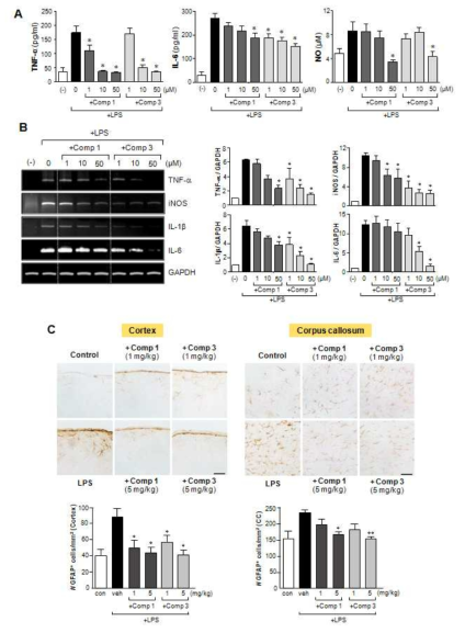 일차배양 성상세포 및 LPS 주사 전신염증모델 마우스에서 MMP-8 억제제 원화합물 (Comp1) 및 유도체 (Comp3)에 의한 항염증 효과 (A,B) 및 astrogliosis 억제 효
