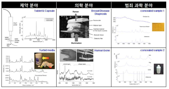 투과 방식 라만 측정을 이용한 다양한 응용분야
