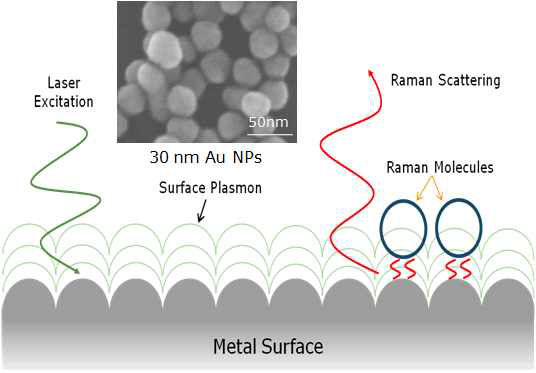 SERS 효과 모식도