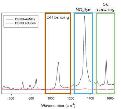 DNSB의 SERS 스펙트럼