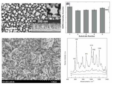 전기화학 증착법으로 만든 구조체 및 SERS 세기 비교