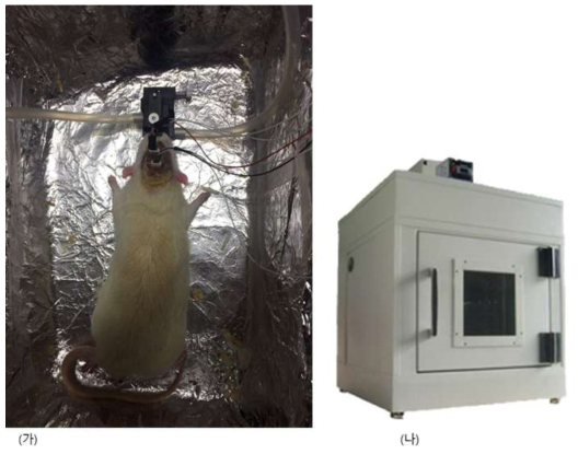 (가) g.HEADstage를 활용한 rat의 뇌파 측정 모습. 2% isoflurane gas를 이용하여 마취를 한 후 데이터를 수집, (나) 실험에 사용한 animal experiment chamber