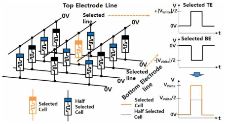 cross point array 소자의 Write를 위한 구성, pulse 입력 및 pulse 입력에 따른 Selected/Half Selected Cell의 전압 변화