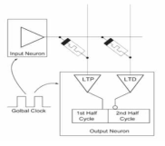 2개의 PCMO memristor를 사용한 neural network 의 구조