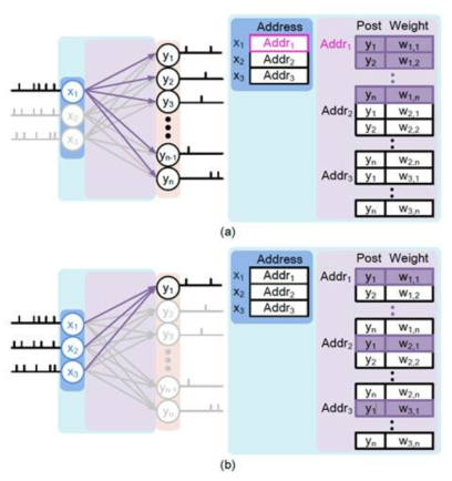 (a) 프리시냅틱 뉴런 스파이크에 따른 시냅스 테이블의 활성도. (b) 포스트시냅틱 뉴런 스파이크에 따른 시냅스 테이블의 활성도