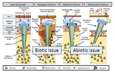 신경전극의 신뢰성 이슈