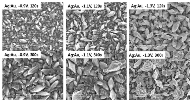 전착 전압과 전착 시간에 따른 금/은 이종합금 나노구조체의 전자 현미경사진