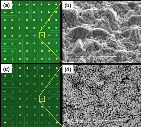 -0.9 V에서 300초 동안 어레이 전극에 전착된 금/은 이종합금 나노구조체(a,b)와 다공성 금 나노구조체(c,d)의 광학현미경 및 전자 현미경 사진