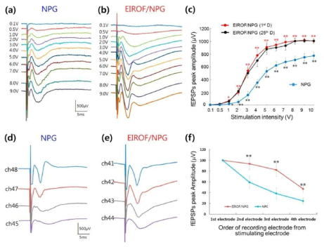 fEPSPs의 I/O 와 (a, b) NPG 전극과 EIROF/NPG 전극에서 기록한 자극 전압에 따른 fEPSPs의 변화. (c) NPG 전극과 EIROF/NPG 전극에서 측정된 신호 세기의 도식. (d, e) 각 4개의 전극에서 기록된 fEPSPs의 변화. (f) NPG 전극과 EIROF/NPG 전극에서 fEPSPs 신호세기의 감소량 차이