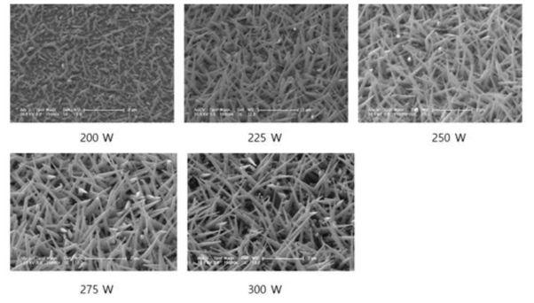 RF 출력에 따른 ITO 나노선 성장 특성