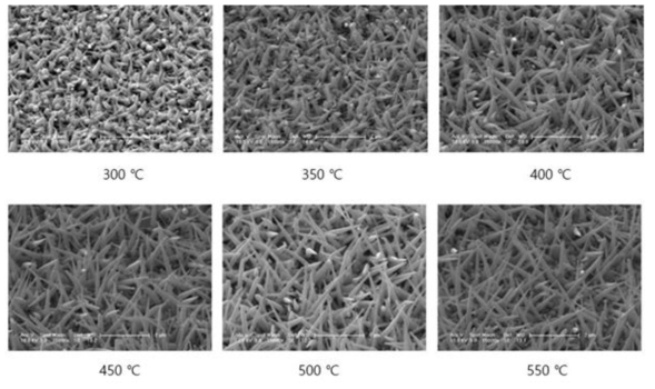 기판 온도에 따른 ITO 나노선 성장 특성