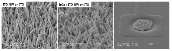 ITO 나노선과 IrOx/ITO 나노선의 전자 현미경 사진 및 IrOx/ITO 나노선 마이크로 전극의 전자현미경 사진