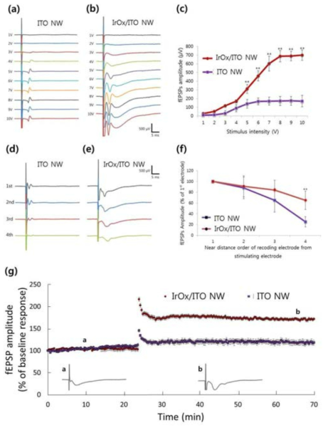 ITO NW 전극과 IrOx/ITO NW 전극 영역에서 측정한 fEPSP 신호전파와 I/O. (a,b) 1V-10V 자극에 따른 신호 변화, (c) 자극 세기 변화에 따른 신호 변화, (d, e) SR 영역 자극 후ITO NW 전극과 IrOx/ITO NW 전극에서 측정한 신호, (f) 자극에 의해 발생한 신호의 세기 감소 (g) ITO NW 전극과 IrOx/ITO NW 전극에서 LTP 비교