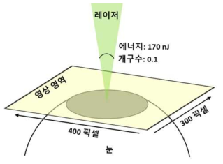 광음향 영상 시스템으로 안구 촬영 방법의 모식도와 사용된 변수들