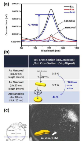 (a) Au nanodisk와 Au nanorod의 흡광 “단면적” 비교, (b) Au nanodisk와 Au nanorod의 평균 흡광 “효율” 비교, (c) 마우스 안구 내에 주입된 Au nanodisk의 광간섭 단층 이미지
