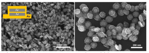 합성된 Au/Fe multilayered nanodisk의 SEM 이미지