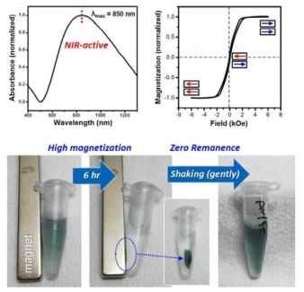 합성된 Au/Fe multilayered nanodisk의 absorbance 및 magnetization curve와 나노입자 수용액 주위에 영구자석을 위치했을 때와 자석을 제거했을 때의 사진