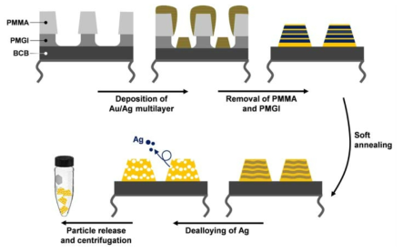 Porous Au nanodisk 합성을 위한 공정 모식도