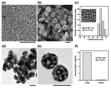 합성된 porous gold nanoparticle의 (a,b)SEM, (d,e)TEM 이미지, (c)크기분포 및 (f)원소 비율. Scale bar = (a) 1 μm, (b,d,e) 100 nm