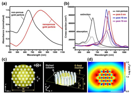 (a)실험적으로 측정된 (검은색)non-porous gold nanoparticle과 (빨간색) porous gold nanoparticle의 absorbance curve, (,b) 시뮬레이션을 통하여 계산된 absorbance curve. (c) 나노입자 내부의 국소전자기장 계산을 위하여 사용된 모델 구조 및 (d) 계산된 전자기장 분포