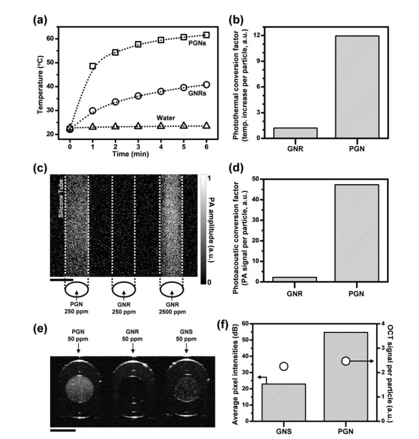 (a,b) Porous gold nanoparticle과 gold nanorod(Nanopartz, AC12-25-850)의 광열 전환 효율 비교, (c,d) Porous gold nanoparticle과 gold nanorod의 PAT 이미징 효율 비교 (e,f) Porous gold nanoparticle, gold nanorod, gold nanosphere(BBI solutions, EM. GC200)의 OCT 이미징 효율 비교. Scale bar = 0.5 mm