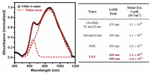 실험적으로 측정된 fried-egg-shaped Au nanodisk의 (왼쪽) absorbance curve 및 (오른쪽) molar extinction coefficient