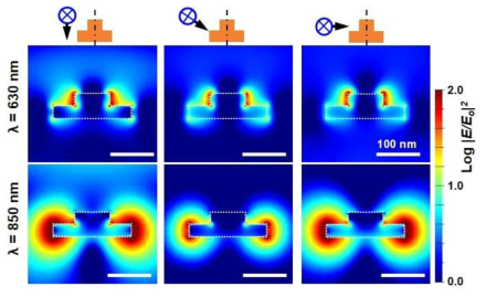 FDTD 시뮬레이션을 통하여 계산된 fried-egg-shaped Au nanodisk 주위에 증폭된 국소전자기장 분포, (위) 입사 파장 630 nm, (아래) 입사 파장 850 nm