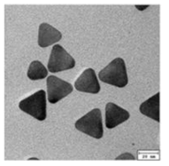 35 ± 8 nm 크기의 프리즘 모양 나노입자