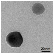 22 ± 6 nm 크기의 둥근 모양 나노입자