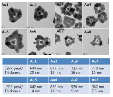 기존 프레임 구조와 다른 형태의 금 나노입자 합성 및 특성 분석