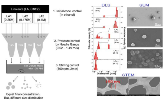 지방산 나노입자 합성모식도 (좌) 및 크기분포 및 이미지 (우)
