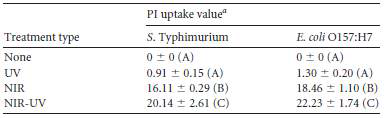 NIR, UV, NIR-UV 처리에 따른 S. Typhimurium과 E. coli O157:H7의 PI uptake value