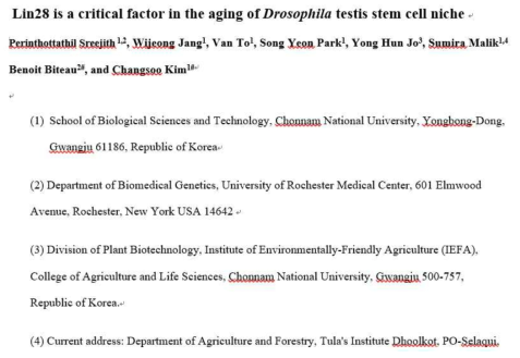 Lin28 manuscript is in revision in Aging cell