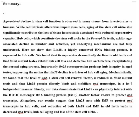 Lin28 manuscript summary