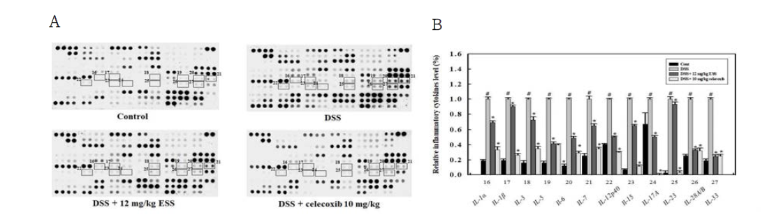 Effect of ESS administration on the pro-inflammatory cytokines in serum of DSS-induced colitis mice. #P <0.05 indicates significant differences from the control group. *P < 0.05 indicates significant differences from the DSS-treated group
