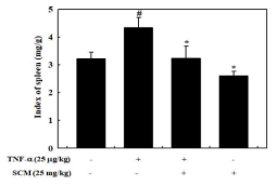 Effects of SCM on splenic index in TNF-α-treated mice. The splenic index was calculated by using the formula: splenic index (mg/g) = spleen weight/final body weight