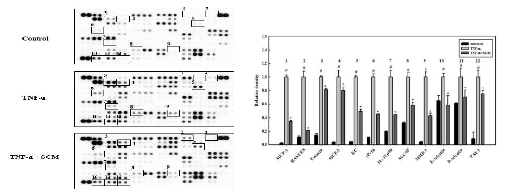 Effect of dietary SCM on the expression of various proteins in TNF-α-treated mice serum. T