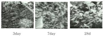 SEM images of NSB1 paste with curing age (× 5,000)