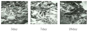 SEM images of NSB2 paste with curing age (× 5,000)
