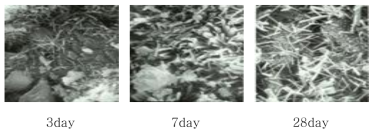 SEM images of NSB3 paste with curing age (× 5,000