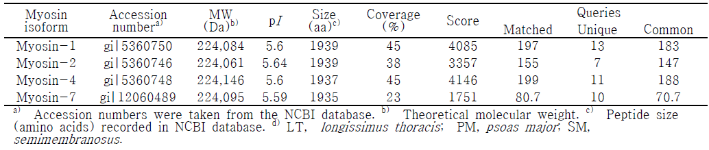 LC/MS 분석으로 돈육 및 우육 주요 근육에 분포하는 myosin 아형 확인 결과