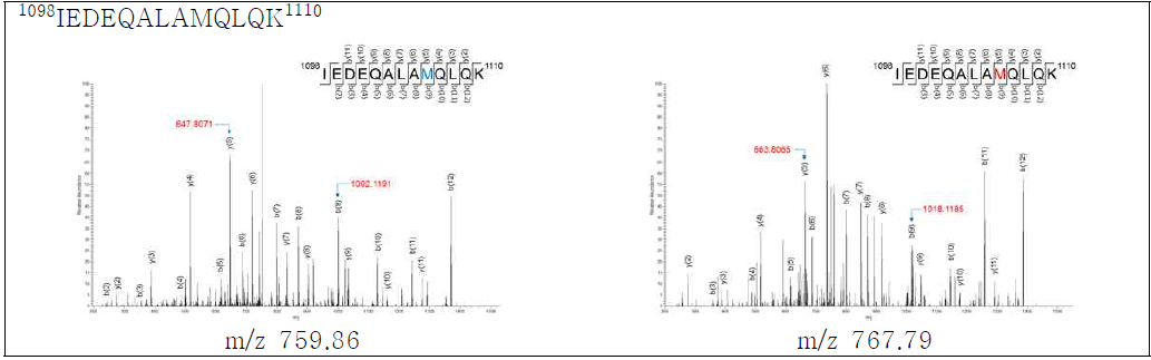 Myosin-1의 아미노산 서열 1098-1110에서 확인된 oxidized methionine