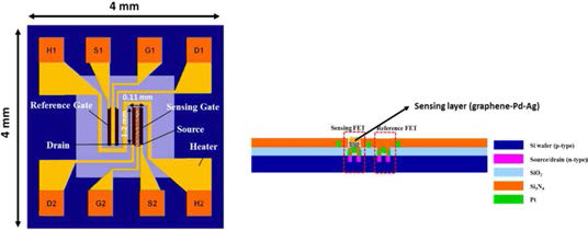 The schematic of hydrogen sensor platform with sensing and reference FETs